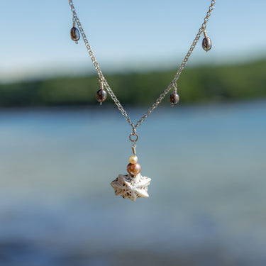 Star Limpet Seashell + Pearl Necklace